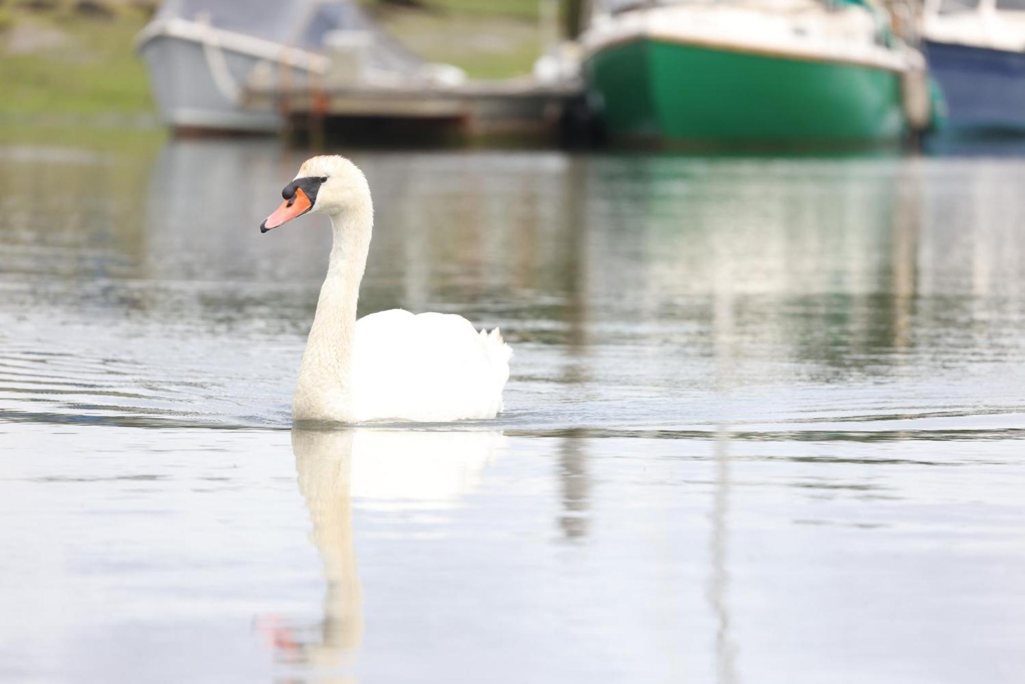 Mercury Yacht Harbour And Holiday Park Bursledon 외부 사진